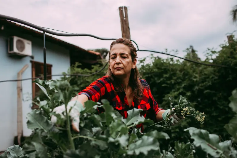 Roots in Red Clay: Albanian-Americans Are Growing the Old Country in the American South